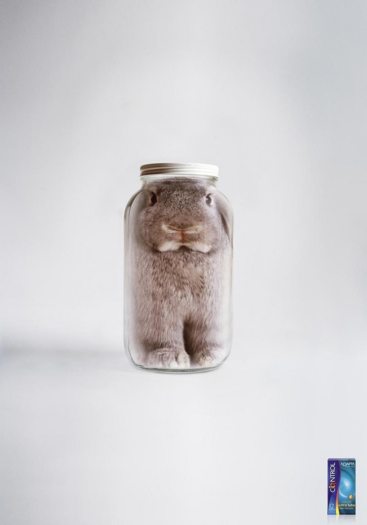 Rabbit in a jar?