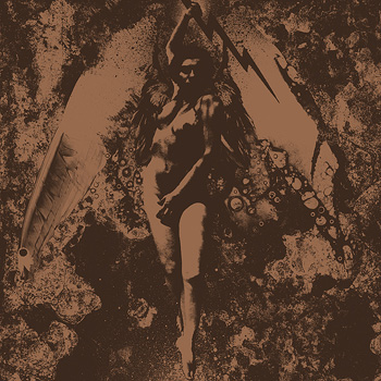 Converge/Napalm Death split