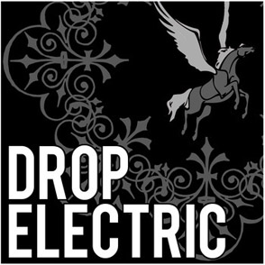 Drop Electric Sampler Platter