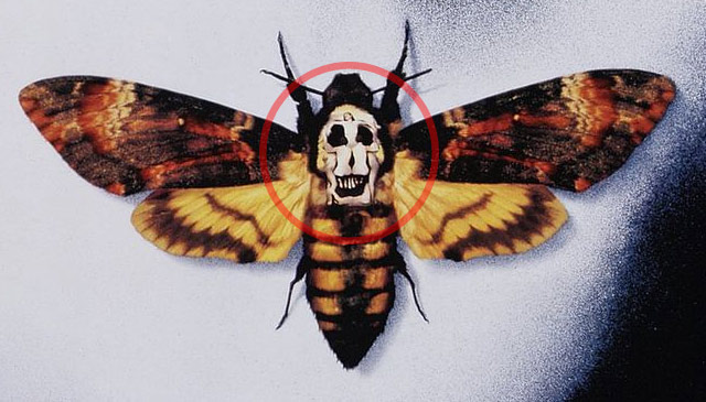 The Silence of the Lambs butterfly