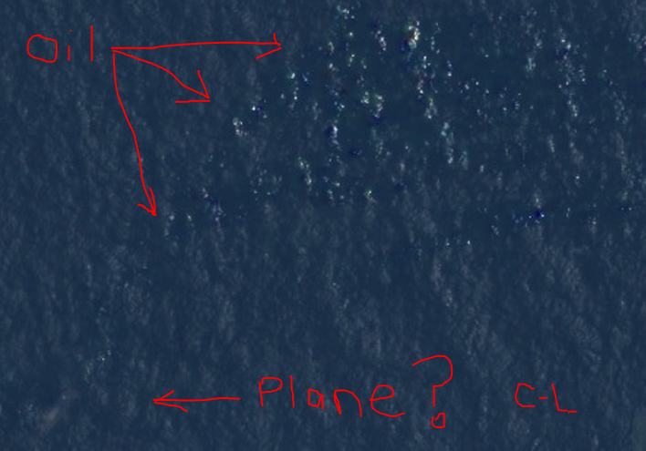 Location of Malaysia Airlines Flight 370, according to Courtney Love
