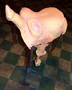 showponylarge.jpg