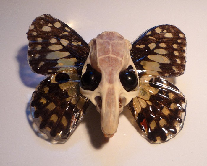 bonnie_wood_butterfly.jpg