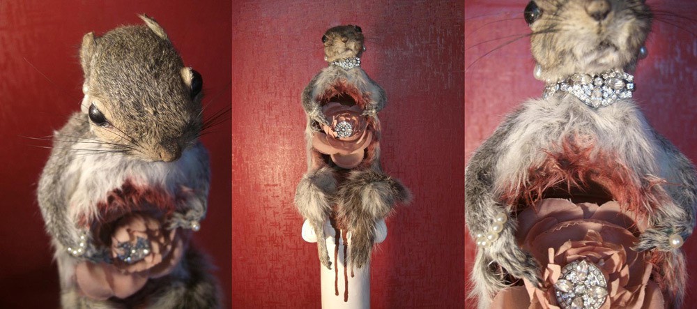 bonnie_wood_flora_and_fauna.jpg