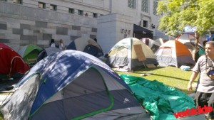 Occupy Los Angeles by Matt Edmund