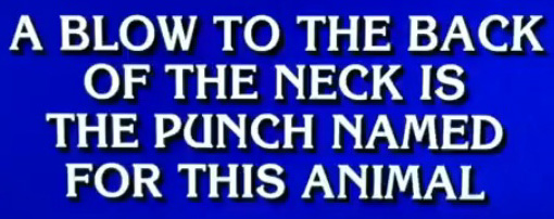 What is a Donkey Punch, Alex?