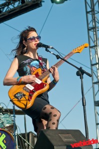 Wild Flag