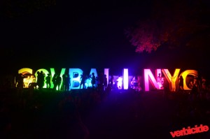 Governor's Ball 2012