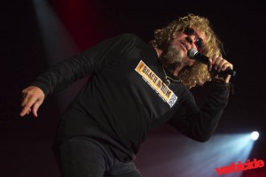 Chickenfoot