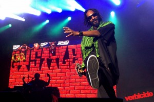 Snoop Dogg/Lion
