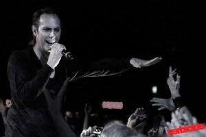 Peter Murphy