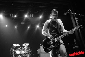 Toadies