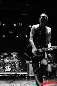 Toadies