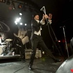 The Hives