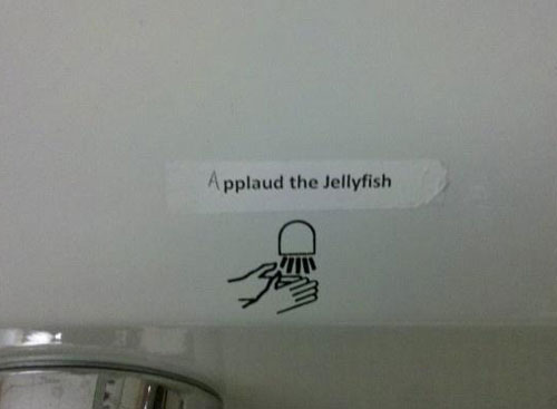 Applaud the jellyfish