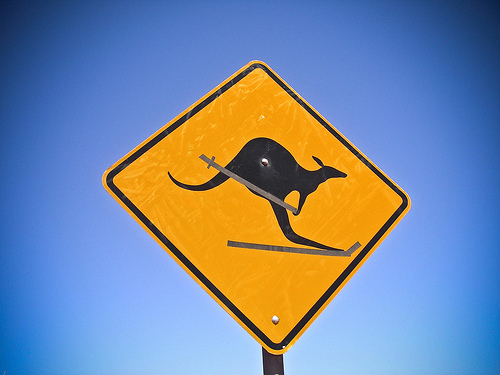 Caution: Skiing kangaroo ahead