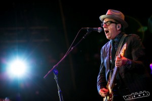 Elvis Costello by Christopher Nelson