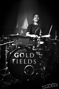Gold Fields
