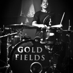 Gold Fields