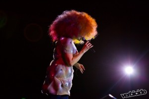 Bjork