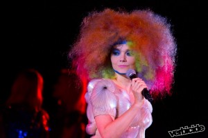 Bjork