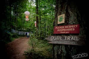 Pickathon 2013