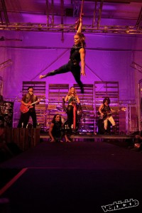 Shapeshifter featuring The Shakers