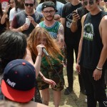 Marmozets