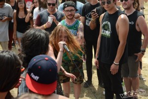 Marmozets