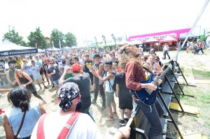 Marmozets