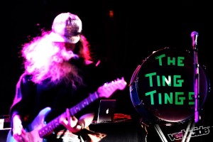 The Ting TIngs
