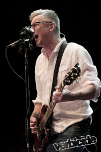 Toadies